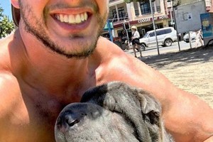 Polisi di Sydney Temukan Anjing yang Dicuri dari Suatu Kafe